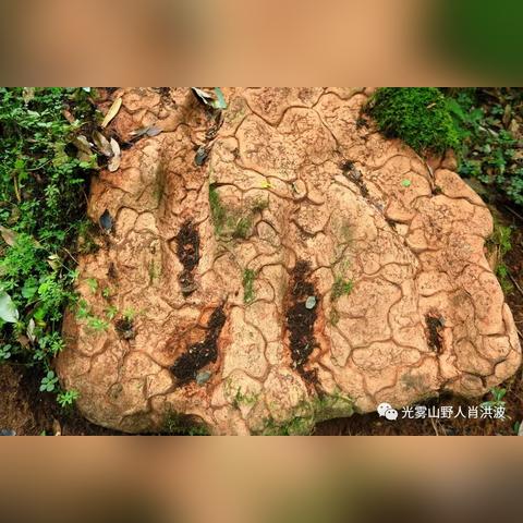 南江旅游全攻略，带你玩转江山美景！