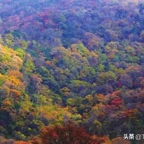 浙江衡山，自然美景与文化宝藏的旅游攻略探索