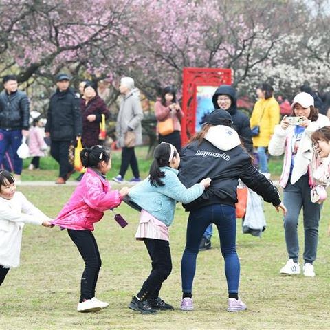 小鸡日报今日时事热点聚焦全球动态速递