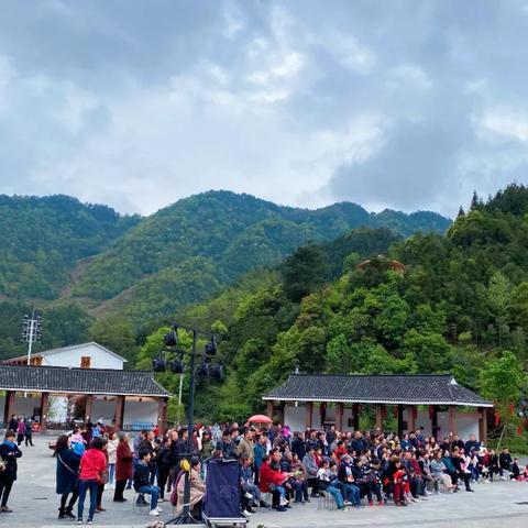 最新假日岛钓鱼攻略，探索未知的钓鱼新境地！