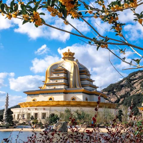 舟山观音法界深度游，探访圣地，文化之旅全攻略