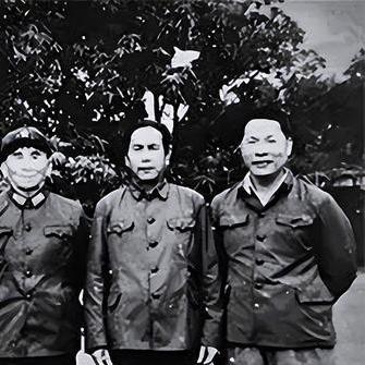 龙源镇交通新闻速递，最新动态一网打尽
