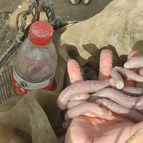 平潭岛烟台旅游全攻略，最新价格与度假胜地玩法，带你玩转海岛魅力！
