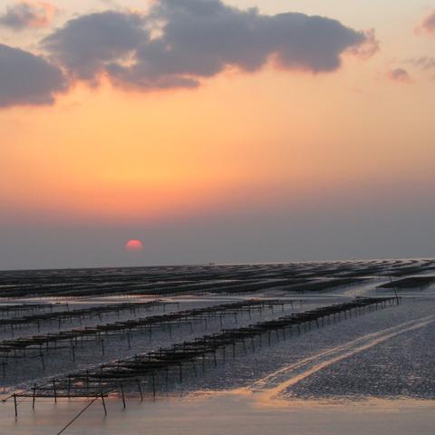 江海平原时事聚焦，地域发展深度解读
