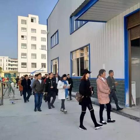 岳阳书屋见证文化瑰宝与城市变迁，新闻头条独家探寻之旅
