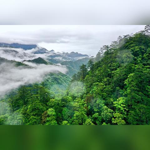自驾武夷山探险攻略，畅游群山之间，领略独特风情！