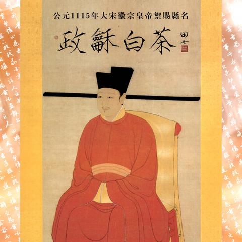 南京方塘新闻聚焦，城市新动向与文化热点的交汇瞬间