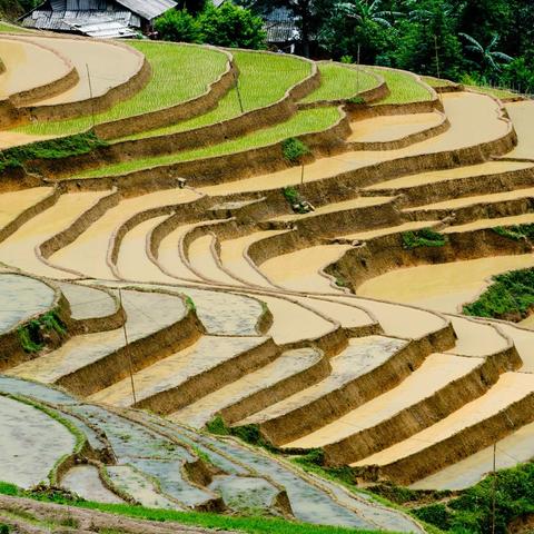 全球农业强国榜单揭秘，农业领先国家的前列地位排名