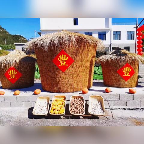 今日玉米廊坊价格走势揭秘，市场分析与影响因素探讨