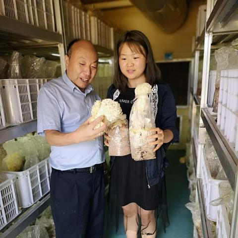 海南食用菌设备公司排名揭晓，行业影响力榜单重磅出炉！