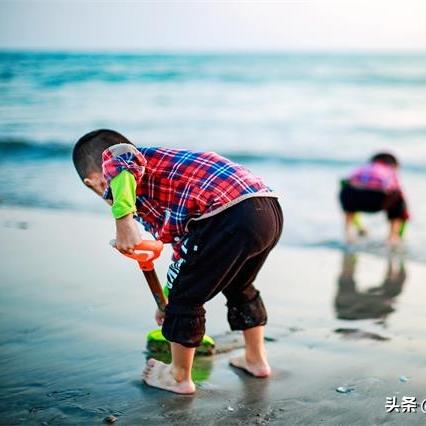 獐子岛渔家乐，探索海洋魅力的梦幻之旅