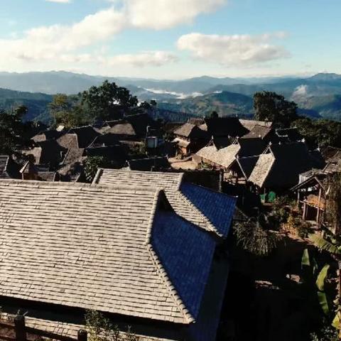 辽宁羊羔最新价格行情分析与市场趋势预测