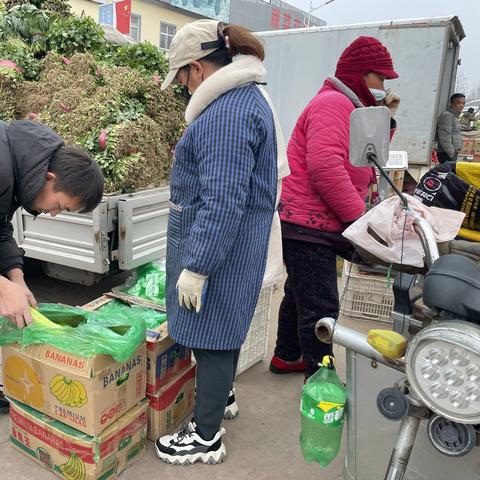 邢台最新菜价行情及市场走势与影响因素解析