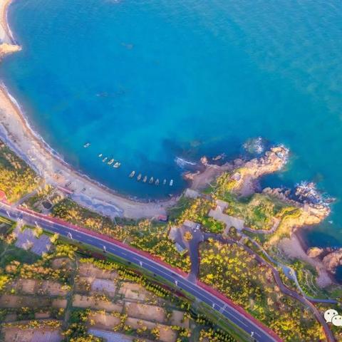 「独家攻略」探秘唐岛湾，魅力西海岸海洋之旅全攻略图赏！