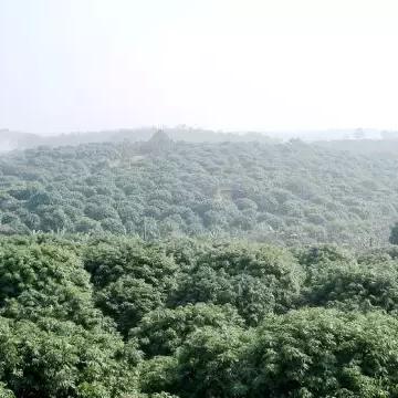 广东保鲜盒供货公司排名揭秘，行业领军者一览无余