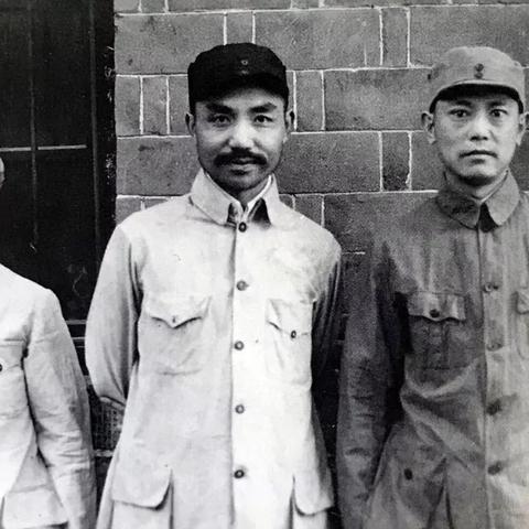 山阳免费游攻略，探寻自然美景与文化宝藏