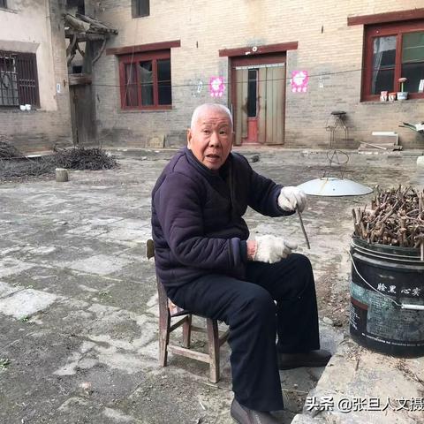 山西临汾最新动态揭秘，今日新闻深度解读