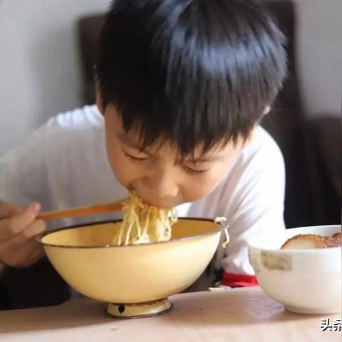 河南填鸭厂家排名TOP10，行业佼佼者大揭秘！
