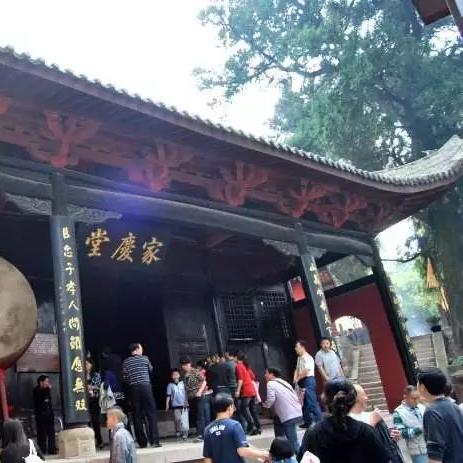 神殿登顶攻略大全，最新打法助你荣耀之巅！