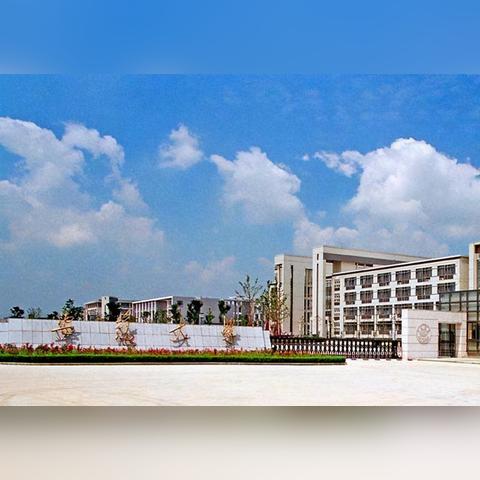 全球新闻学专业排名及行业趋势深度解析