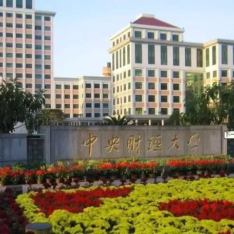 四大会计公司人员规模排名揭秘，成功背后的秘密密码！