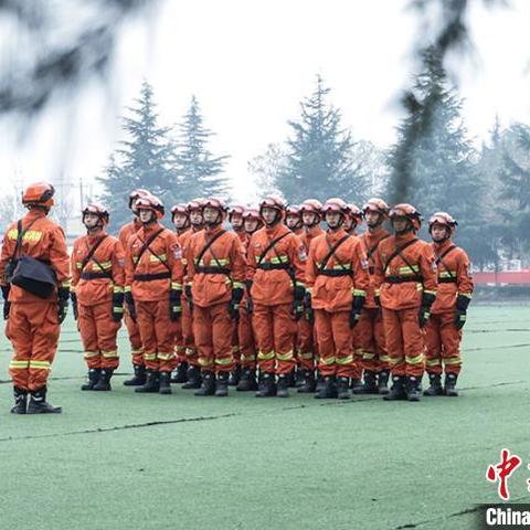 揭秘蔡的秘密森林，深度探索之旅与心灵感悟