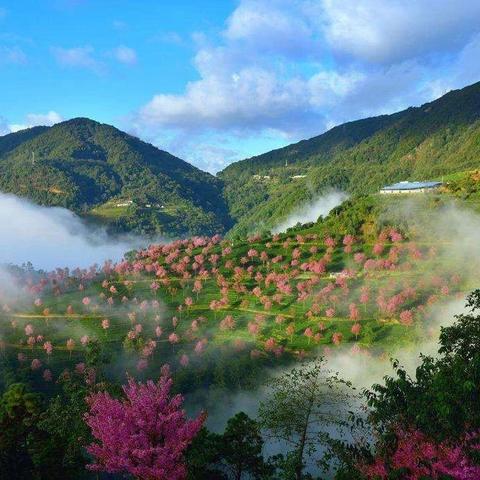 兴义冬季旅游攻略，揭秘别样风情，让你一睹冬日魅力！