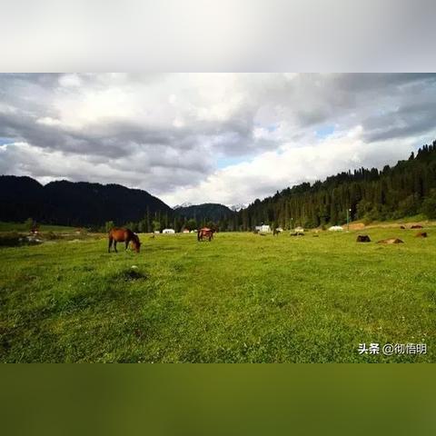 湖南美食秘境揭秘，最新小众餐厅排名榜，不容错过的美食之旅