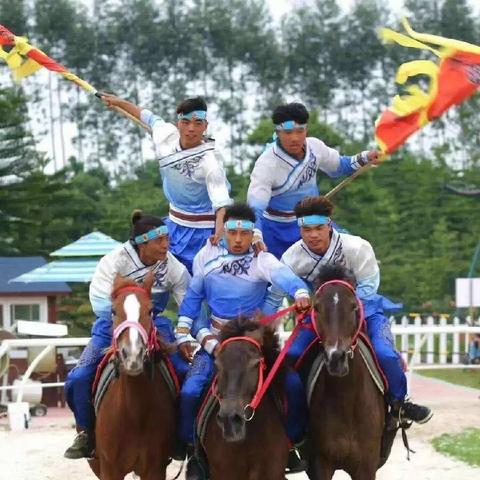 模拟农场特技攻略大揭秘，成为特技大师之路！