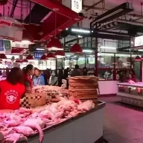 白条肉鸡最新价格及市场走势分析，全面解析影响因素