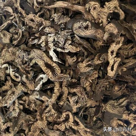 山东花椒今日行情，最新价格、市场走势与影响因素深度解析