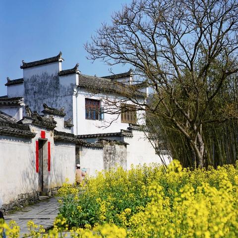 安徽徽风皖韵旅游攻略，探索绝佳出游体验