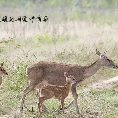 文昌旅游攻略揭秘，山东魅力探索之旅！