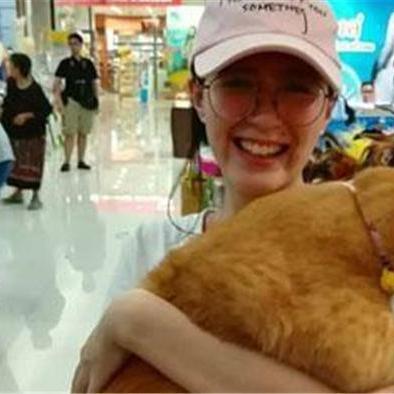 最新猫咪展会资讯汇总，今日看点一网打尽