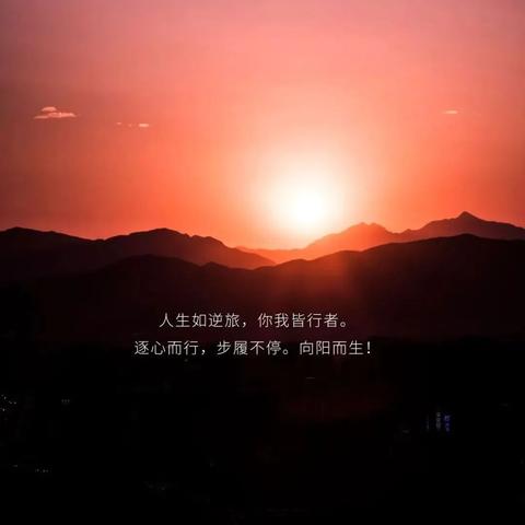 情绪主宰不了命运，不被情绪左右的人生励志语录