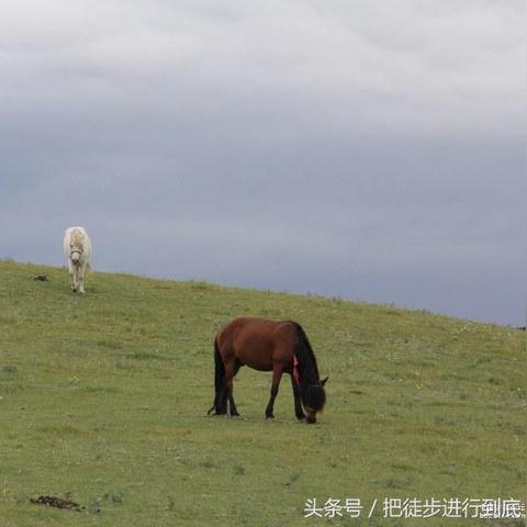张掖暑期旅游攻略，畅游甘肃的明珠胜地