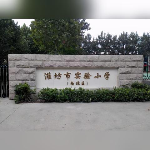 潍坊小学排名前十解读，优质教育资源分布深度剖析