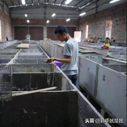 护理必备知识手册，迈向专业巅峰的指南——最新升级版解读
