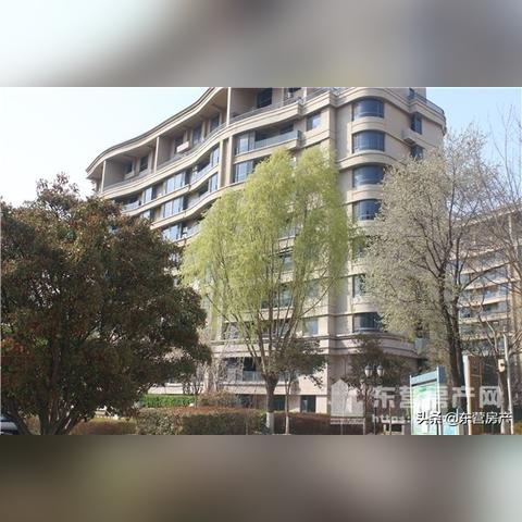 东营明月新闻聚焦，探寻城市最新动向