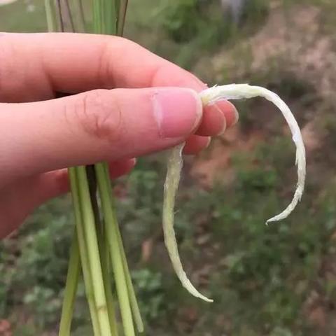 全球热门葡萄酒吧排名，感受葡萄的美妙世界之旅