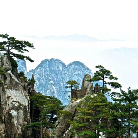 黄山景区旅游攻略，自然之美与独特之旅的完美结合
