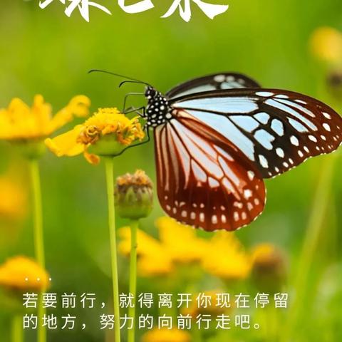 励志语录，短句中的力量，与你共鸣心灵之声！