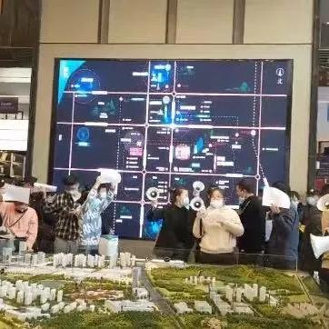 独家解读，最新消息揭示房子限跌令是否取消？全面解析来了！