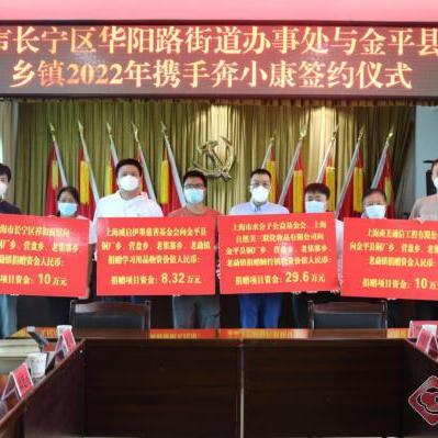 上海铜厂今日行情概览，市场走势深度分析与展望