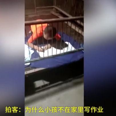 新赛季养猪攻略大揭秘，成为养猪达人只需这几步！