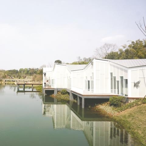 春天金堂旅游攻略，探索繁花似锦的浪漫之旅