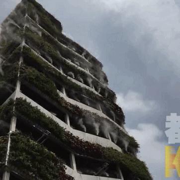 全球高楼排名揭秘，人类建筑奇迹垂直高度探索