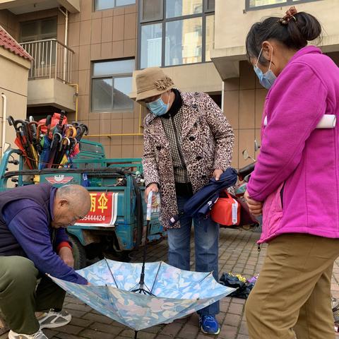 梦幻家园御花园攻略指南，畅游乐园秘籍大揭秘