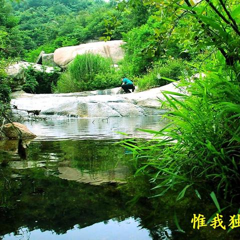 随州艺术培训公司TOP排名揭晓，探寻艺术教育的繁荣胜地