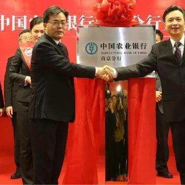 揭秘全球货币汇率排名背后的波动与趋势，2015年回顾与展望